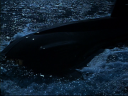 seaview4a.png