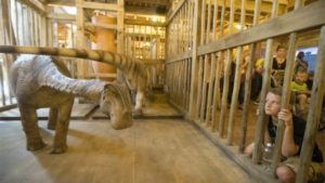 Inside Noah's Ark (photo from AP)
